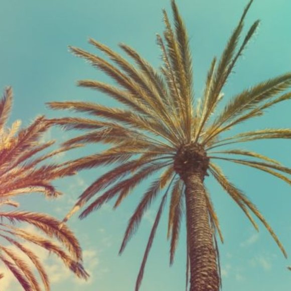 Meet your Posher, Tina - Picture 1 of 1